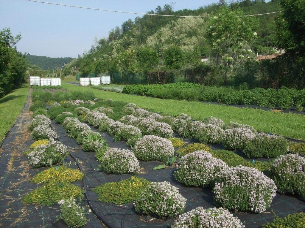 Agriturismo Cascina Rossano Provaglio d'Iseo Eksteriør bilde