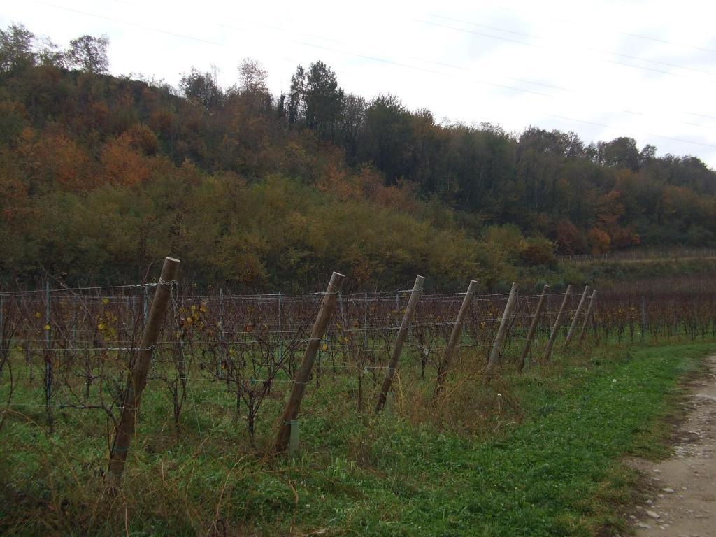 Agriturismo Cascina Rossano Provaglio d'Iseo Eksteriør bilde