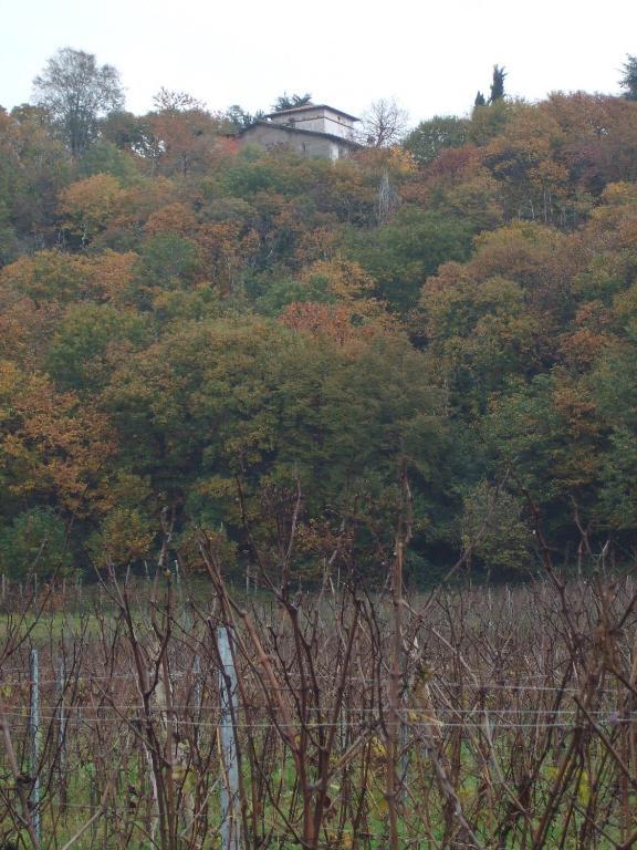 Agriturismo Cascina Rossano Provaglio d'Iseo Eksteriør bilde
