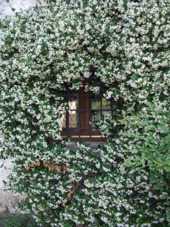 Agriturismo Cascina Rossano Provaglio d'Iseo Eksteriør bilde