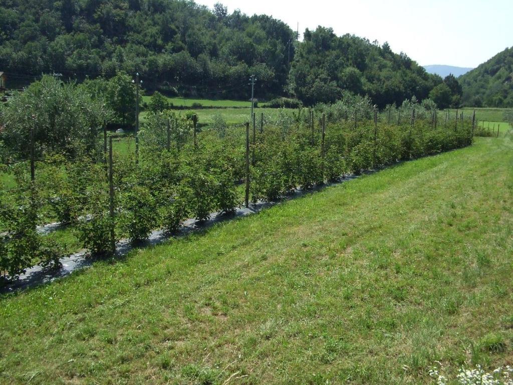 Agriturismo Cascina Rossano Provaglio d'Iseo Eksteriør bilde