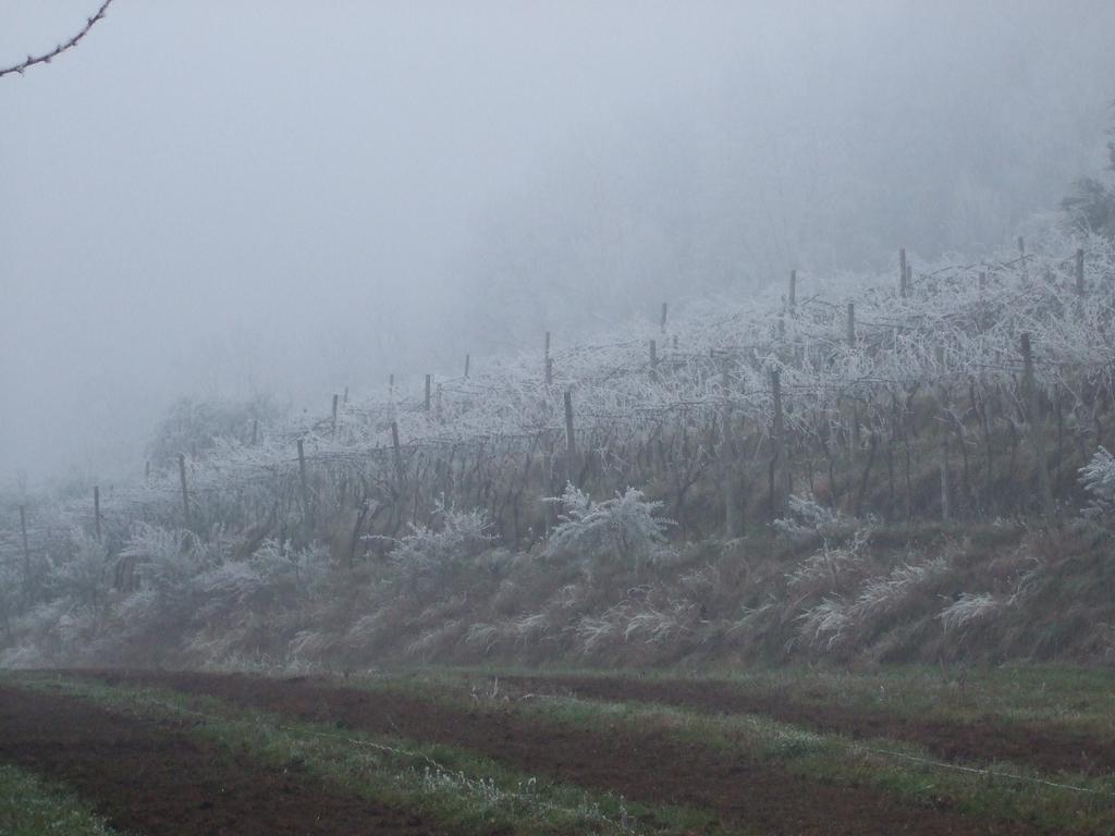 Agriturismo Cascina Rossano Provaglio d'Iseo Eksteriør bilde